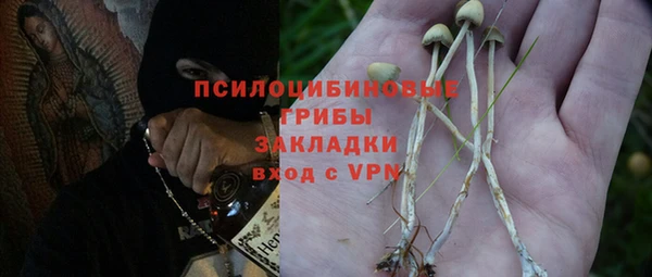 прущий лед Белокуриха