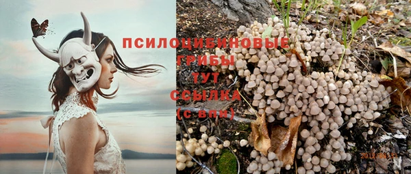 прущий лед Белокуриха