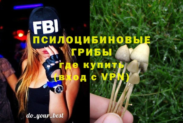 прущий лед Белокуриха