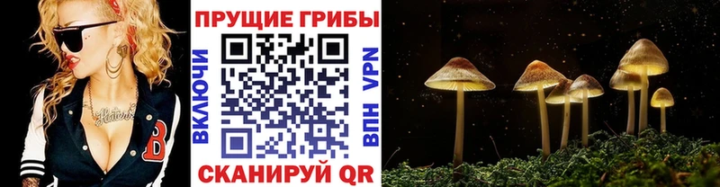 Галлюциногенные грибы Magic Shrooms  Чухлома 